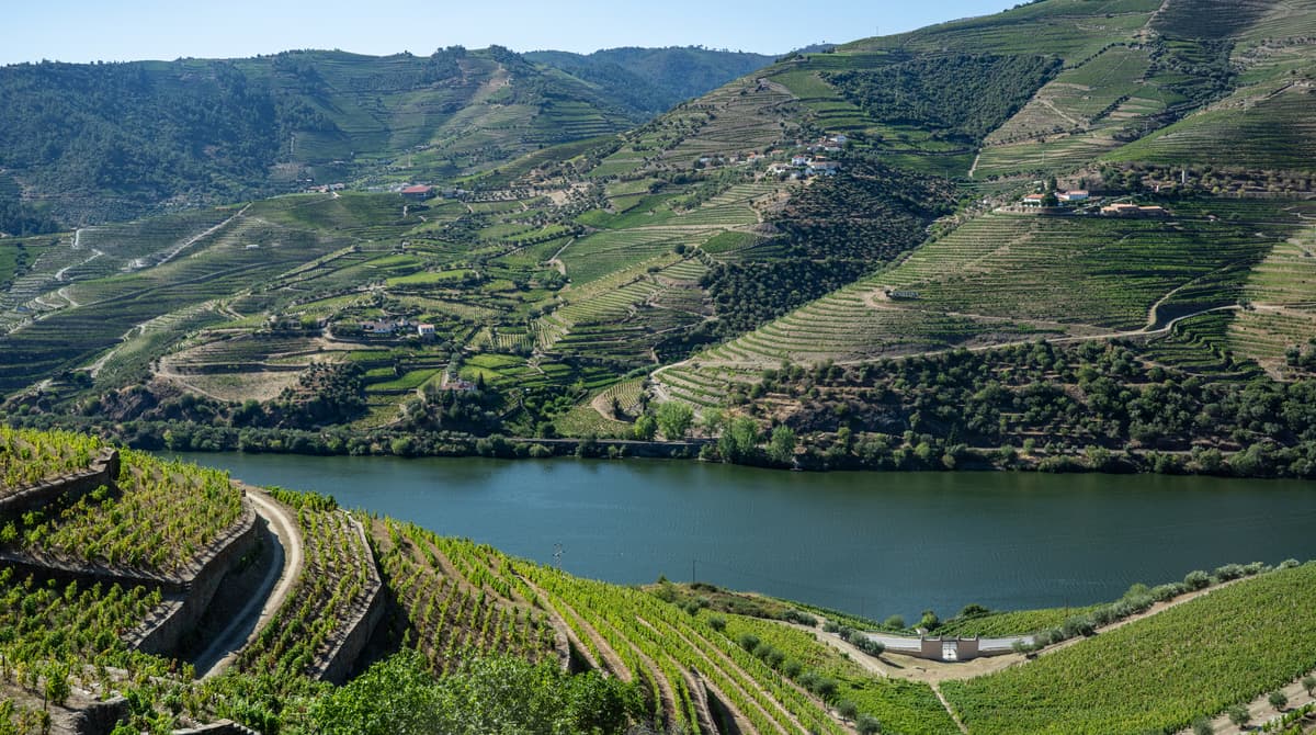 Enchantements du vin et paysages époustouflants : mon voyage inoubliable dans la vallée du Douro
