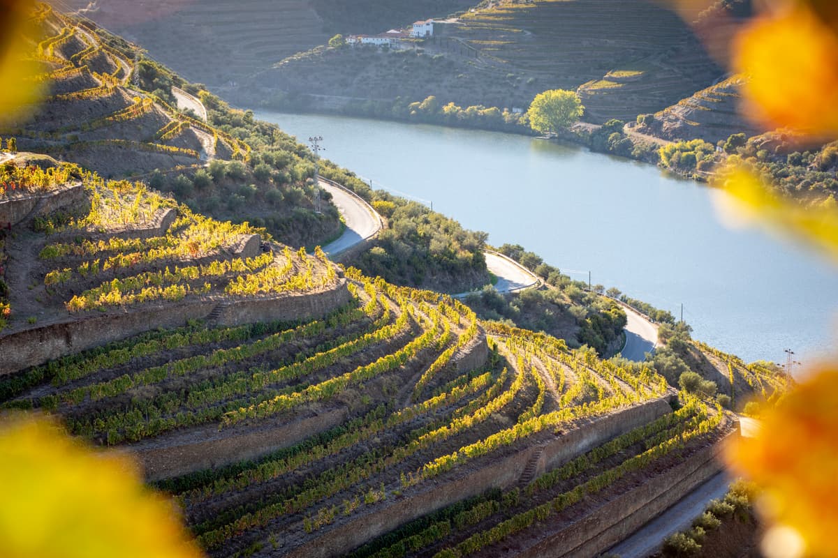 Enchantements du vin et paysages époustouflants : mon voyage inoubliable dans la vallée du Douro